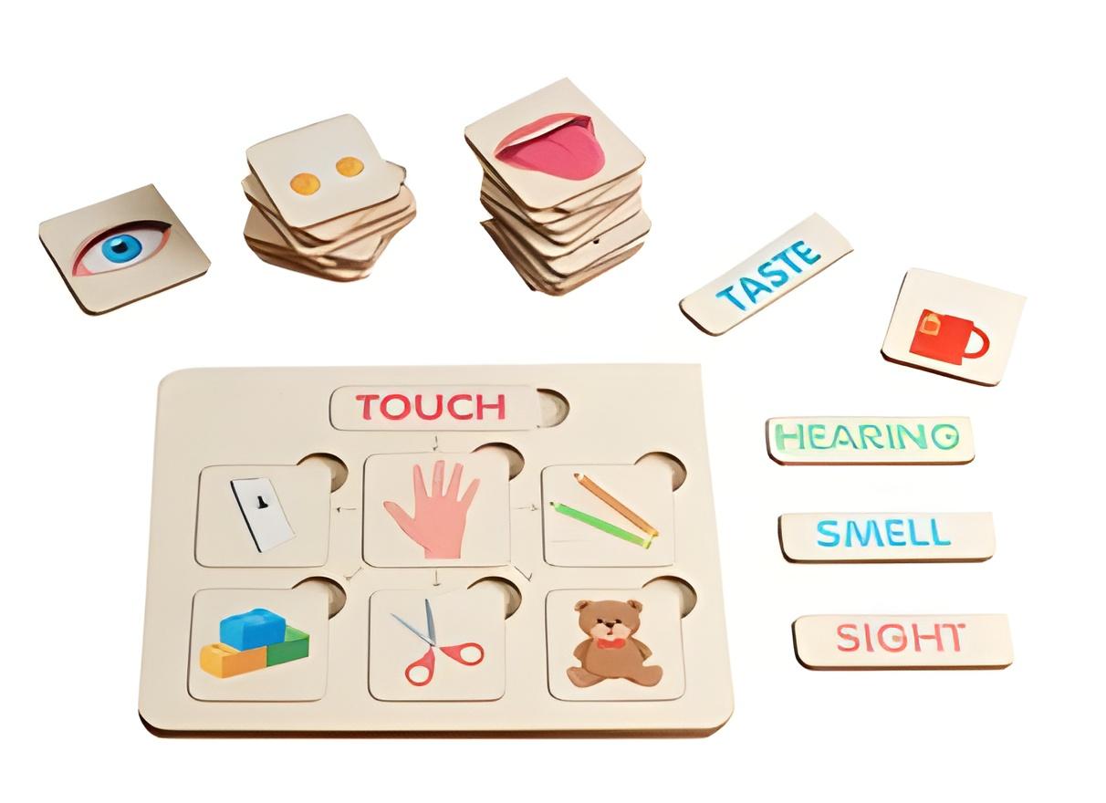 Five senses game