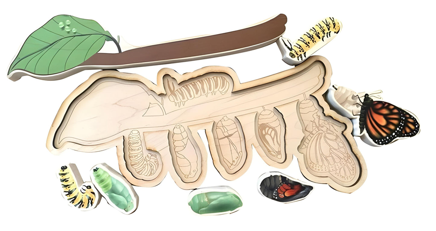 Monarch Butterfly  Life Cycle Game