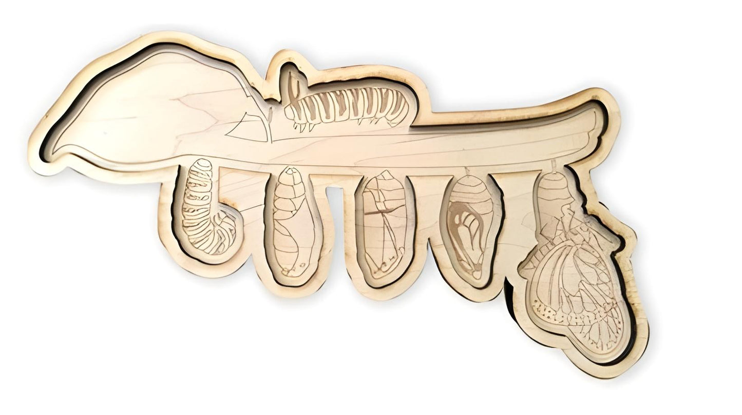 Monarch Butterfly  Life Cycle Game