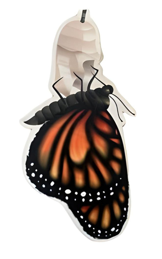 Monarch Butterfly  Life Cycle Game